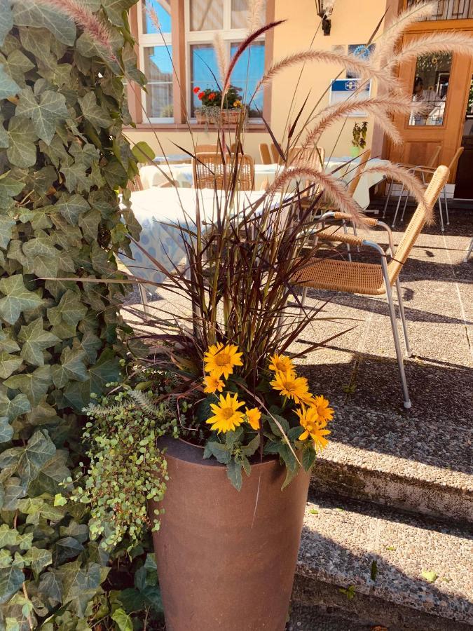 Hotel Roessli Allschwil Dış mekan fotoğraf